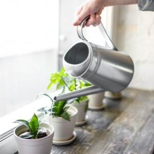 Arrosoir Design — 2 litres Acier Inox